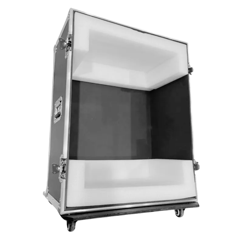 Travel Carrying Case interior